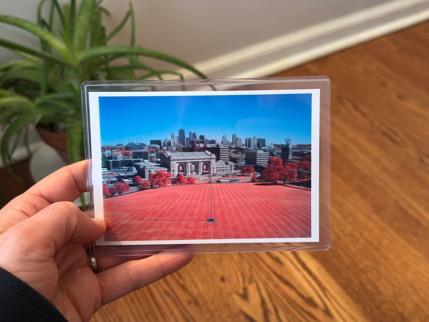 Kansas City RED 4x6 Postcard